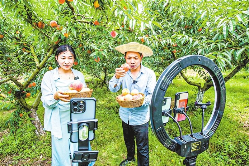 离曦电商:构建未来商业生态的基石